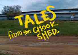 Tales from the Chook Shed