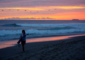 Flying Kites and Surf for the Cause