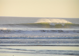 kaikoura waves