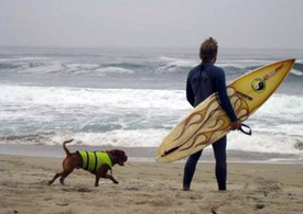 inkadog