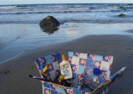 beach_litter