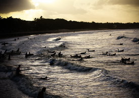 noosa-festival-of-surfing