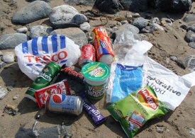 beach_litter