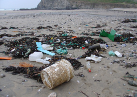 marine_litter