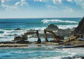 Broken Dreams at Bastion Point